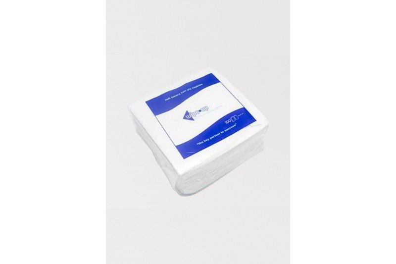 White 2 Ply Napkins 33cm 1x100 (Single Packs) (TBD)